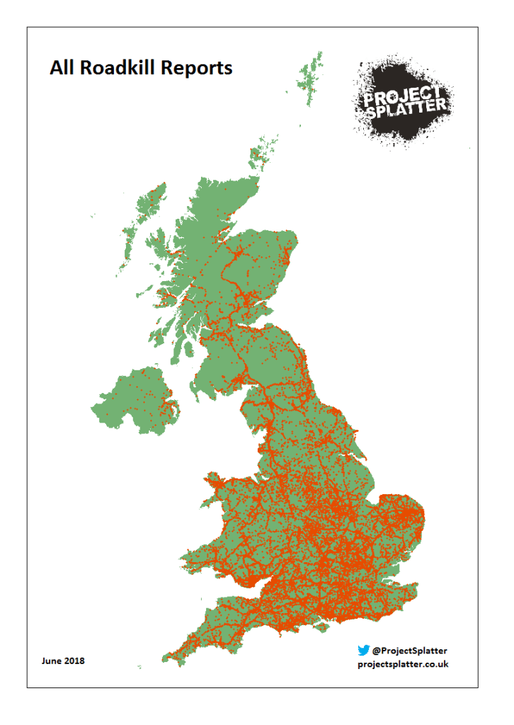 Map of all wildlife roadkill on UK roads reported to Project Splatter as of June 2018.